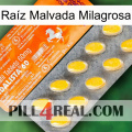 Raíz Malvada Milagrosa new05